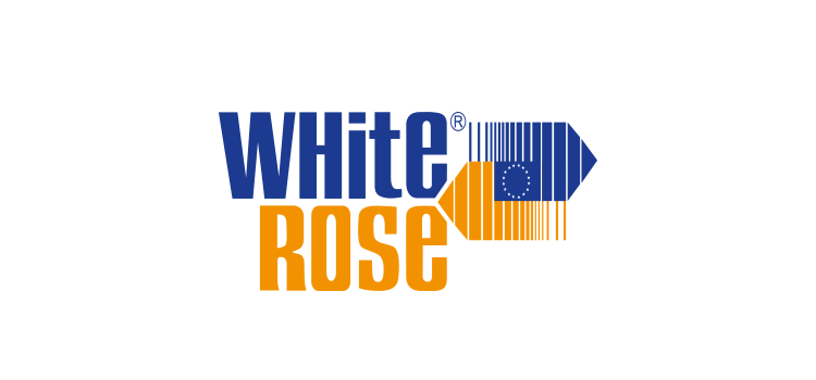 white rose Resim